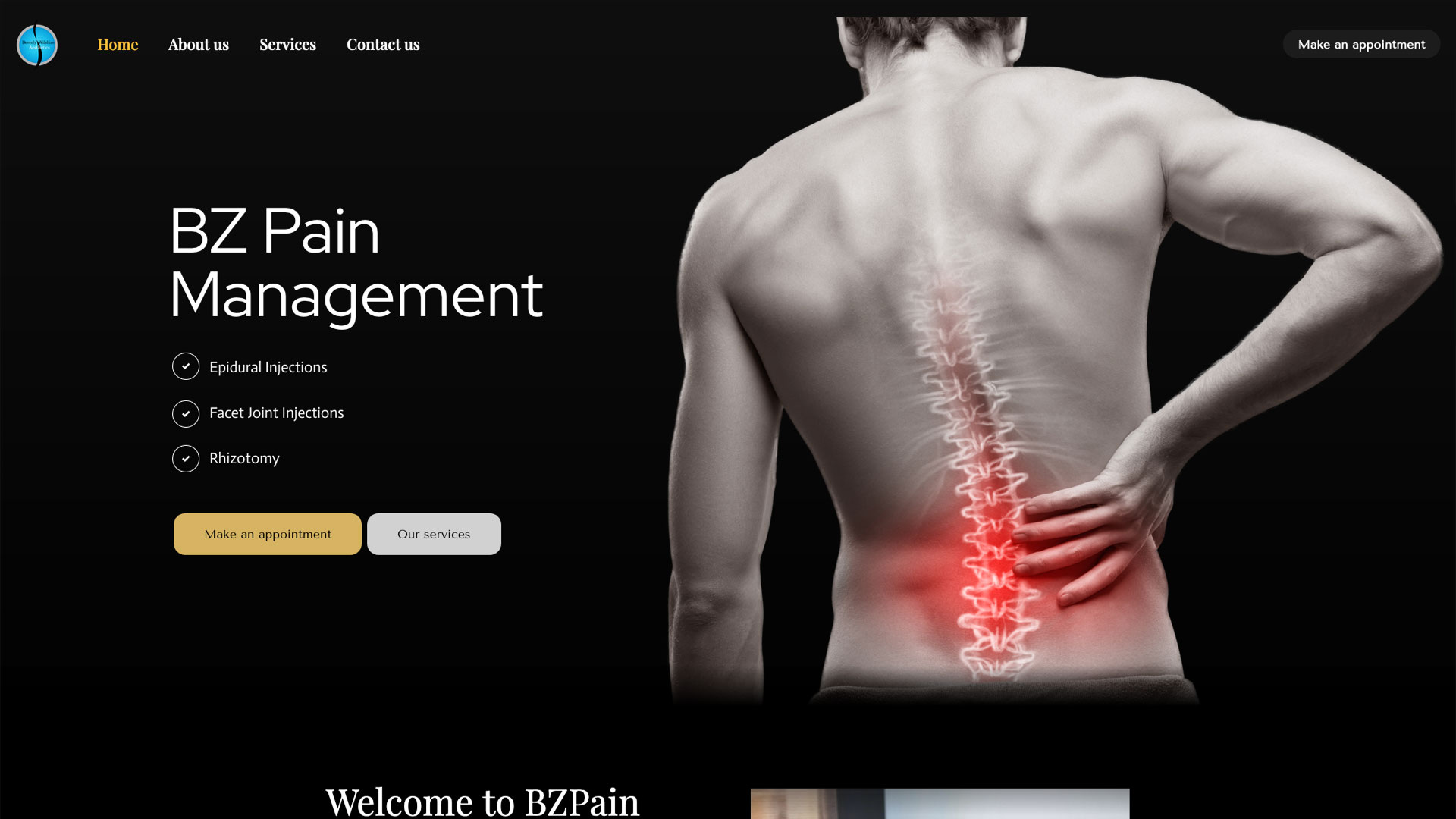 BZ Pain Website