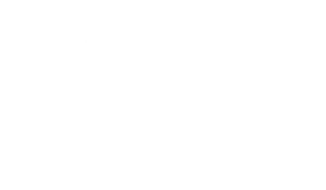 bae beau logo