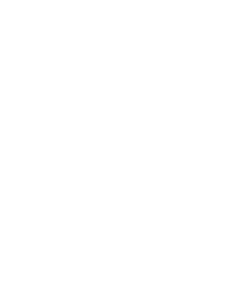 Lumma logo 3